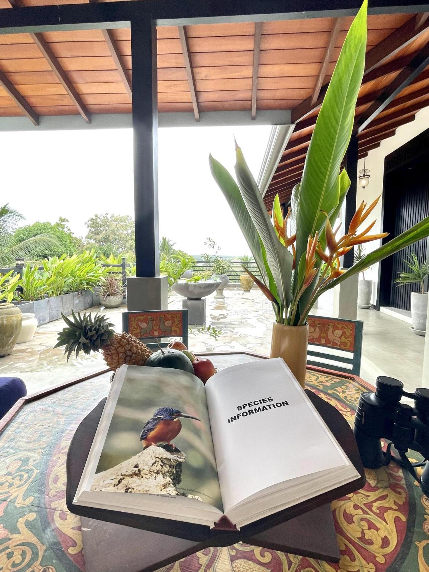 D' Art Villa Retreat And Spa Tangalle Exterior foto